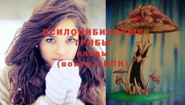 jwh Богородицк