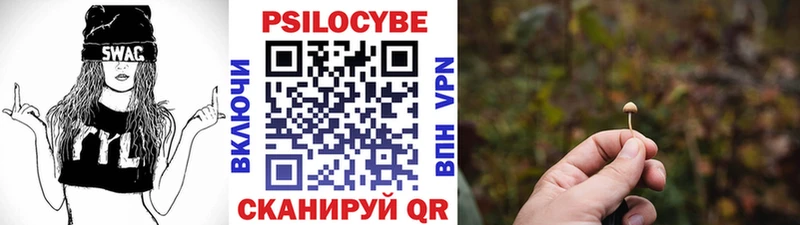 цена наркотик  Ставрополь  Псилоцибиновые грибы MAGIC MUSHROOMS 